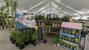 2024 Plant Sale - In the Tent
