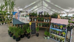 2024 Plant Sale in the Tent