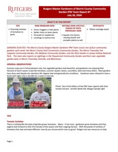 RMG IPM RPT 7 240726 Rutgers Master Gardener