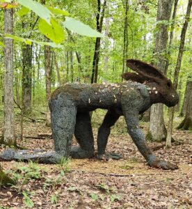 Cheekwood Crawling Lady Hare