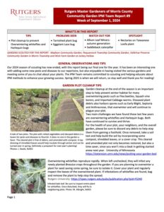 RMG IPM RPT 9 240901 Rutgers Master Gardener