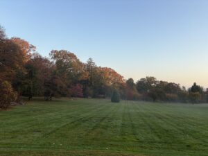 Foggy Morning on the Great Lawn