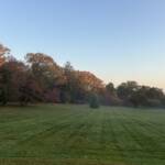 Foggy Morning on the Great Lawn