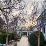 Festively Lit Walkway