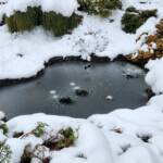 Frozen Pond